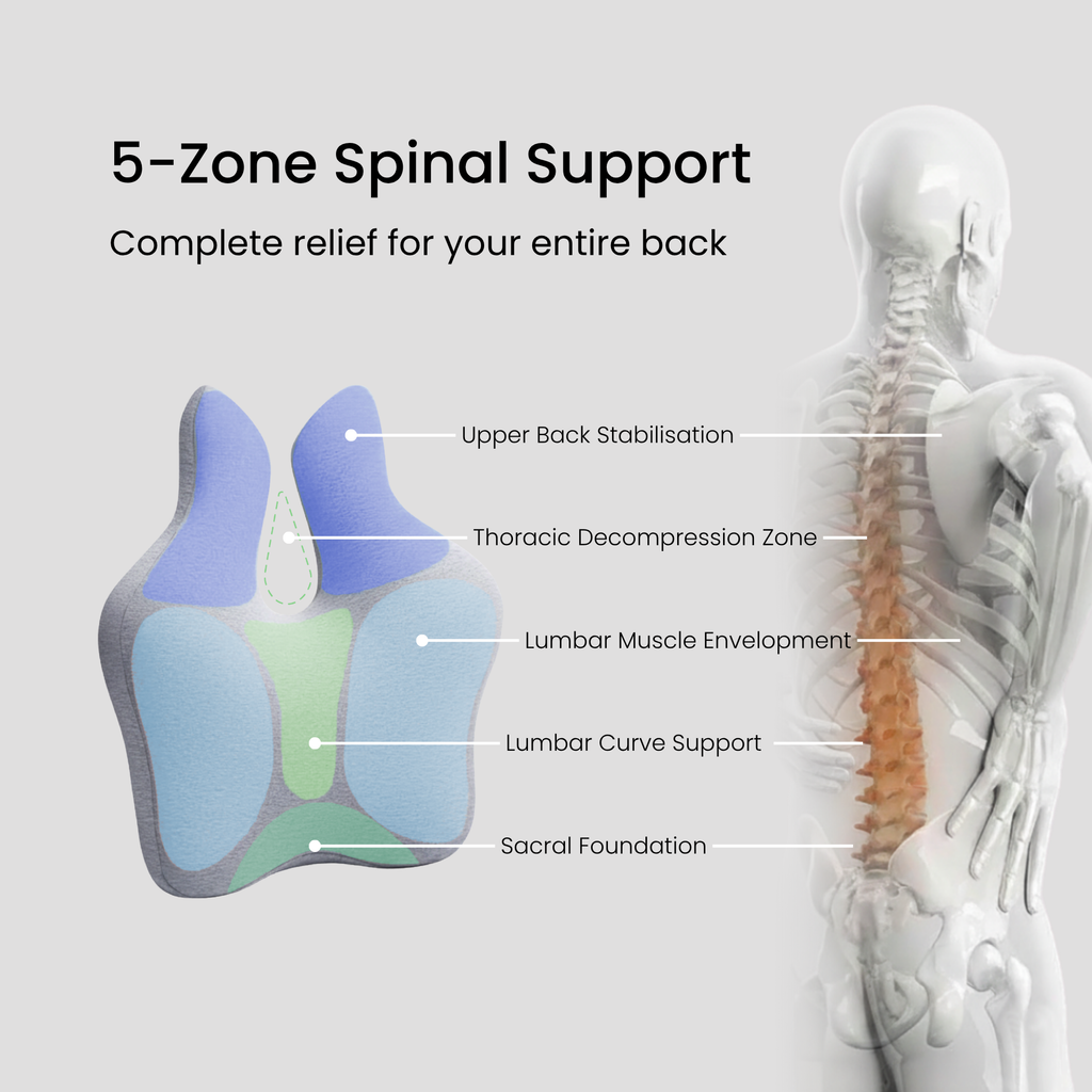 TrueAlign™ Pro Posture Back Support Cushion